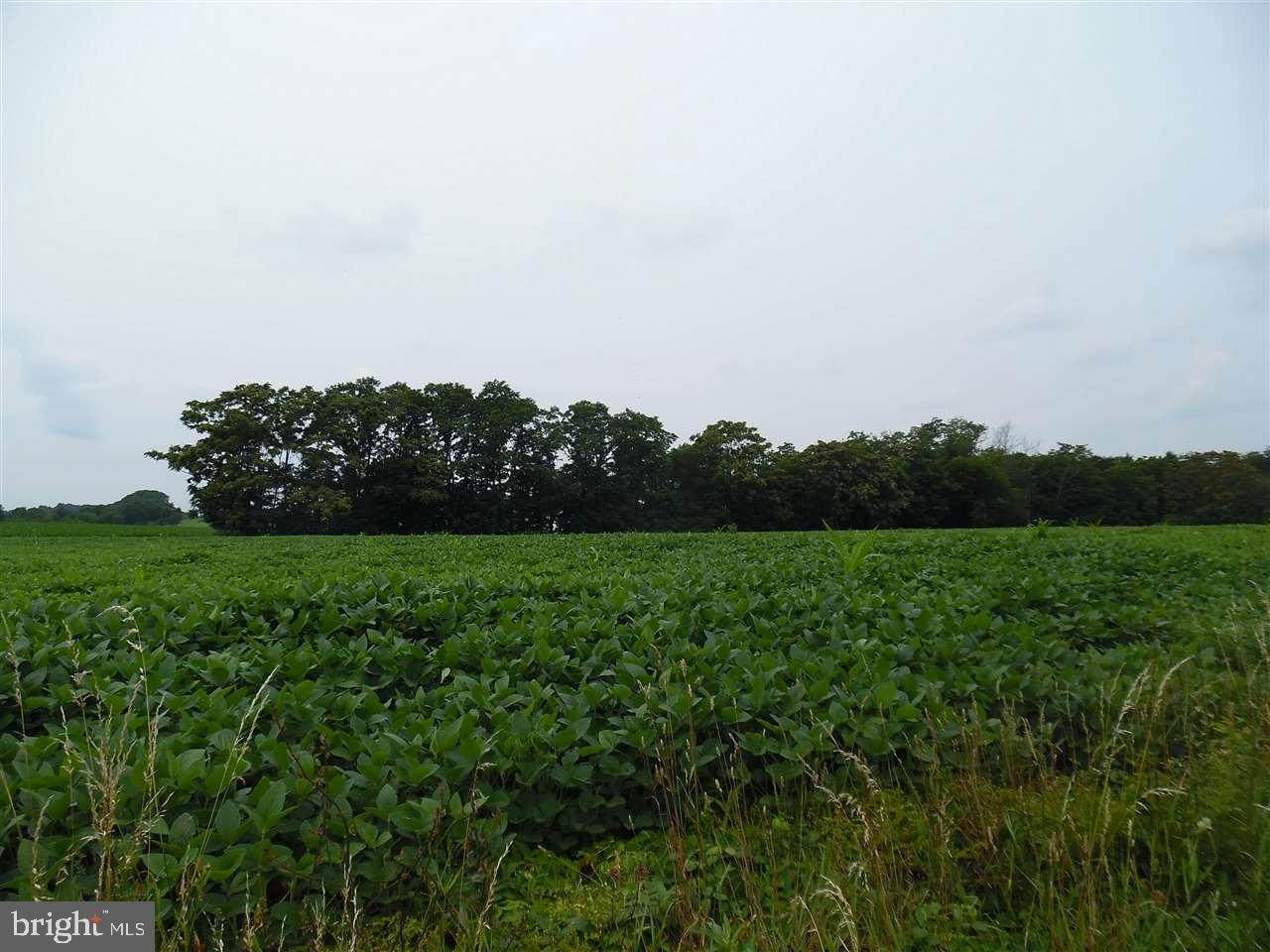 Lot 4 Stouchsburg Road - Photo 1