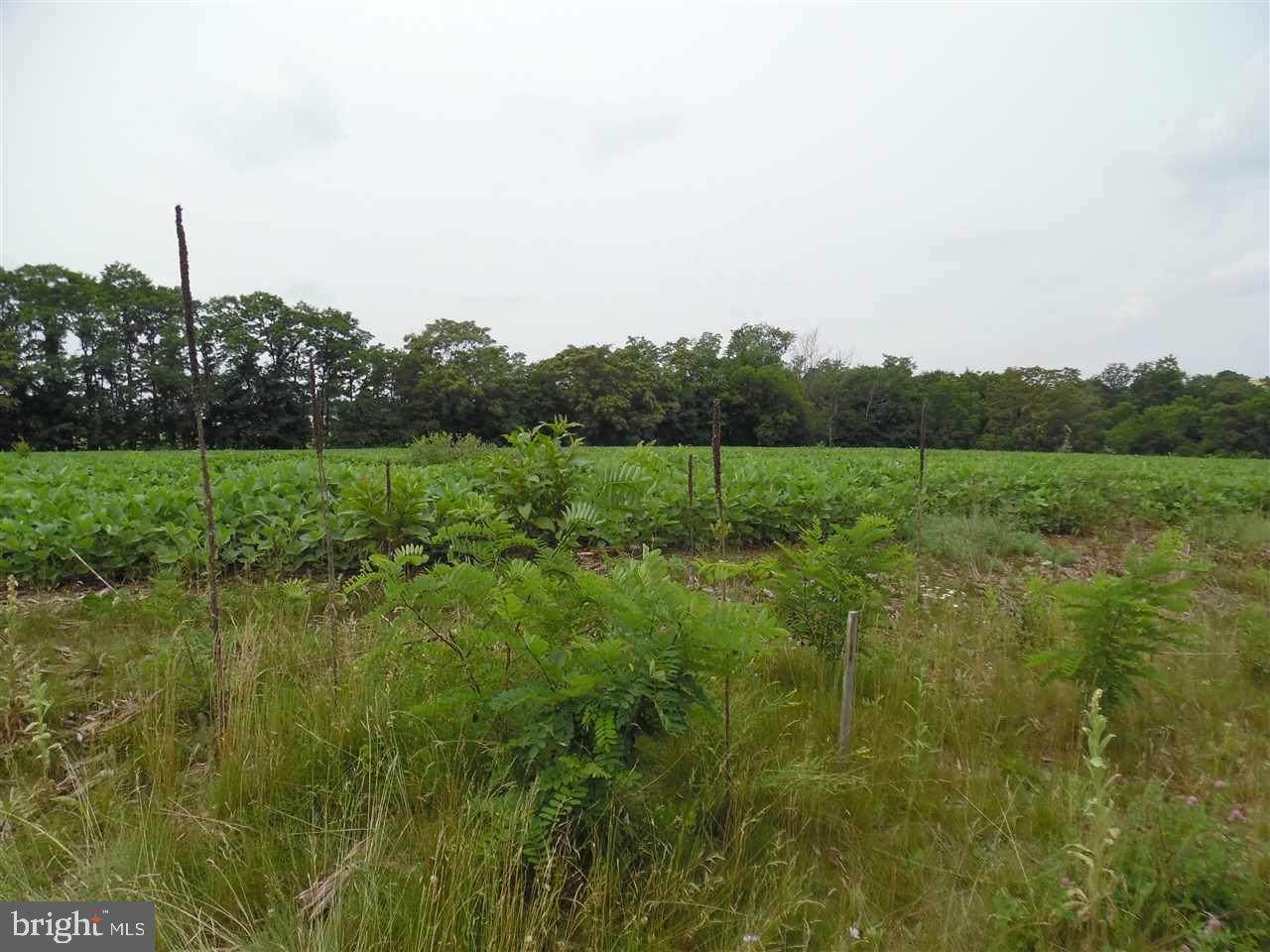 Lot 3 Stouchsburg Road - Photo 1