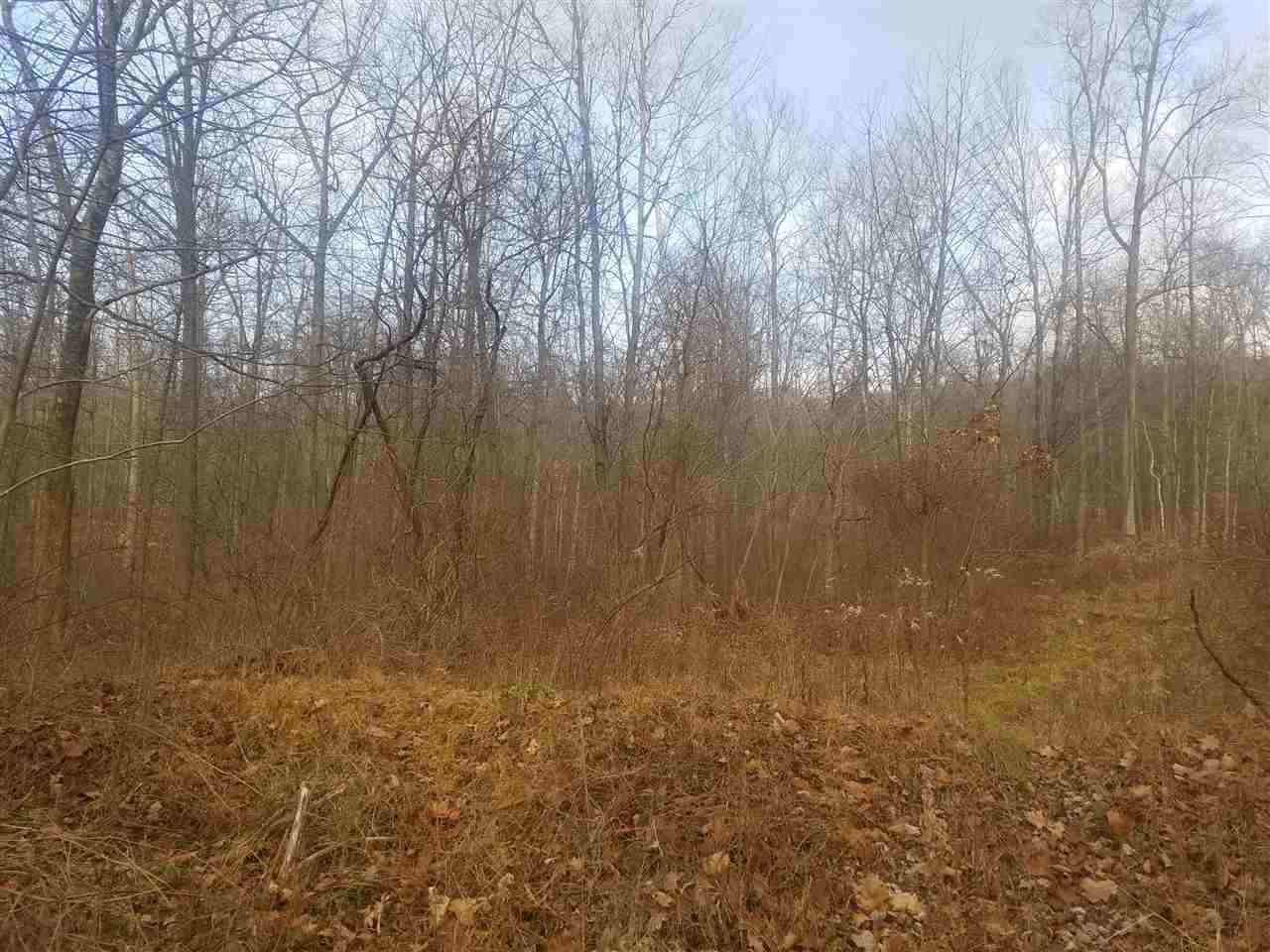 Lot #2 Parkway East - Photo 1