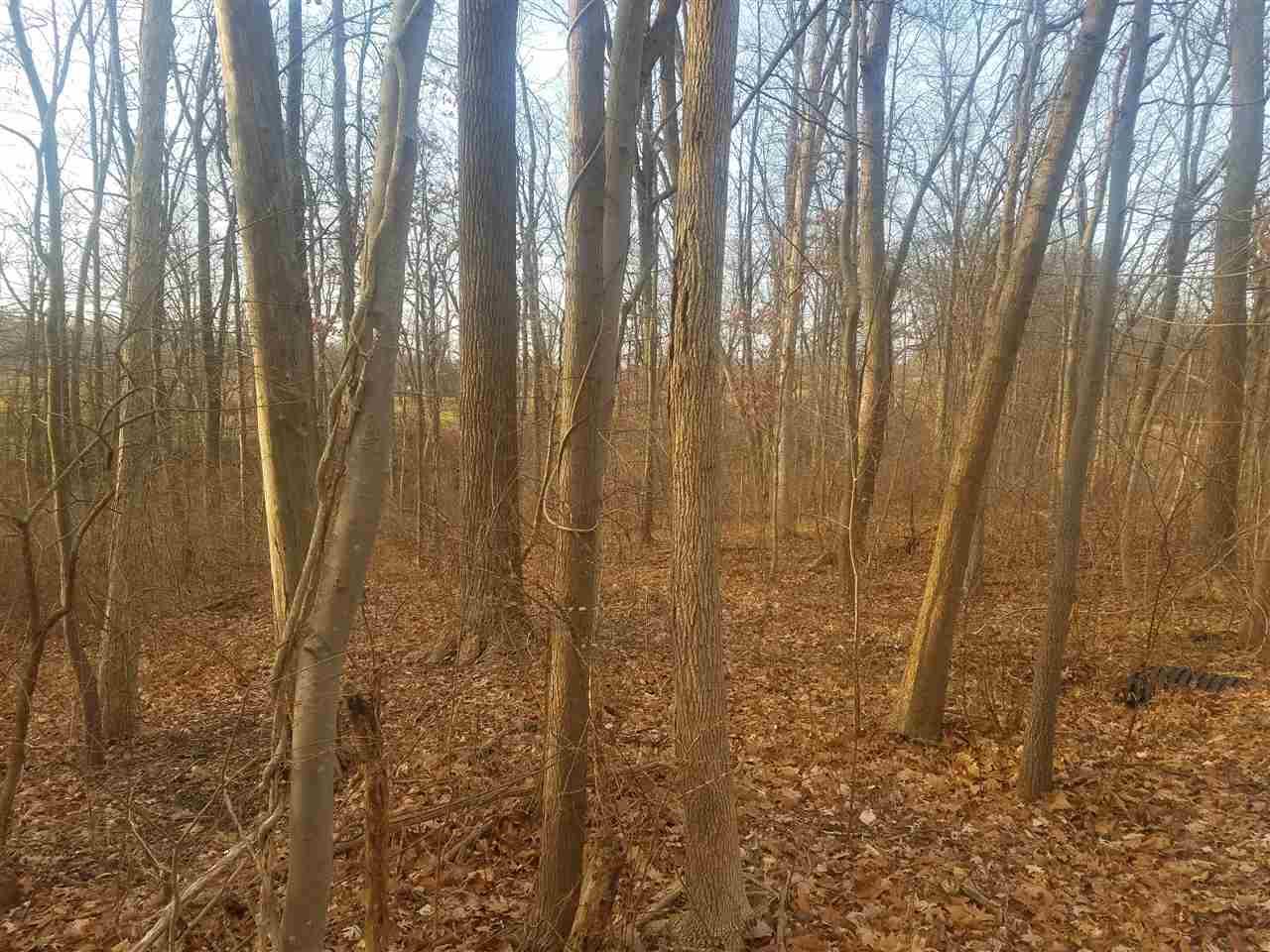 Lot #4 Parkway East - Photo 1