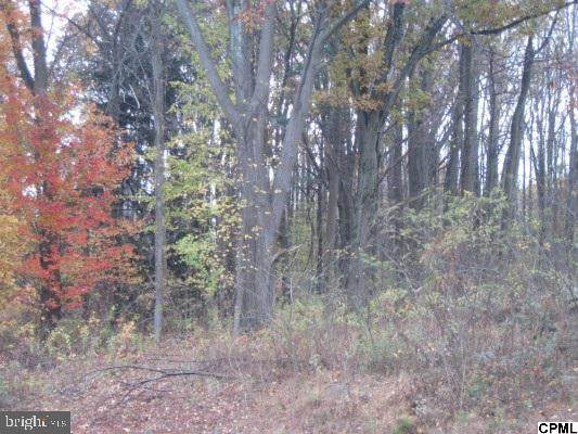 345A Old York Road - Photo 1