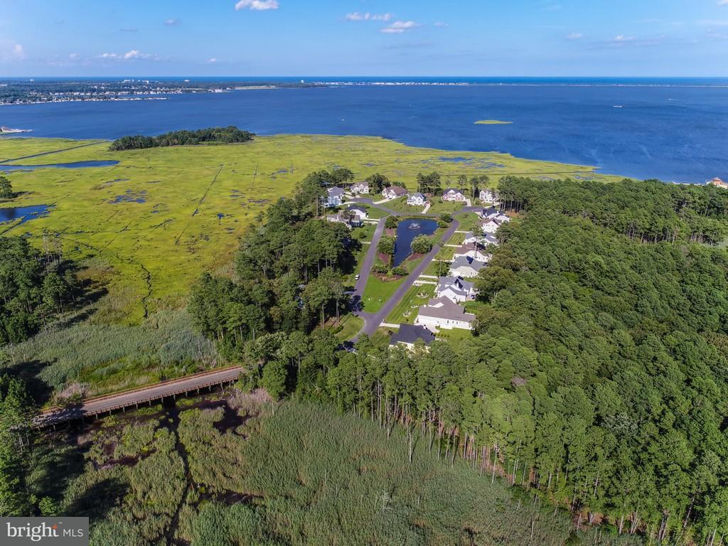 31896 Shell Landing Way - Photo 1