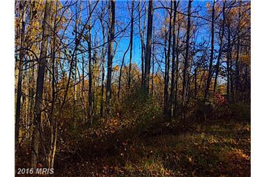 18 Oak Ridge Trail - Photo 1 18 Oak Ridge Trail - Photo 1