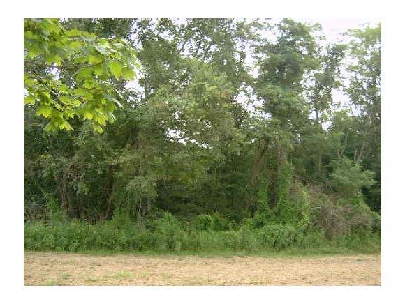 Parker Road - Photo 1