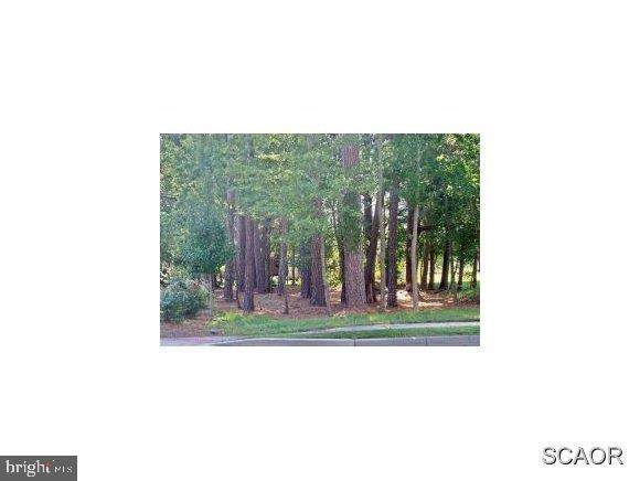 818 Garfield Parkway - Photo 1