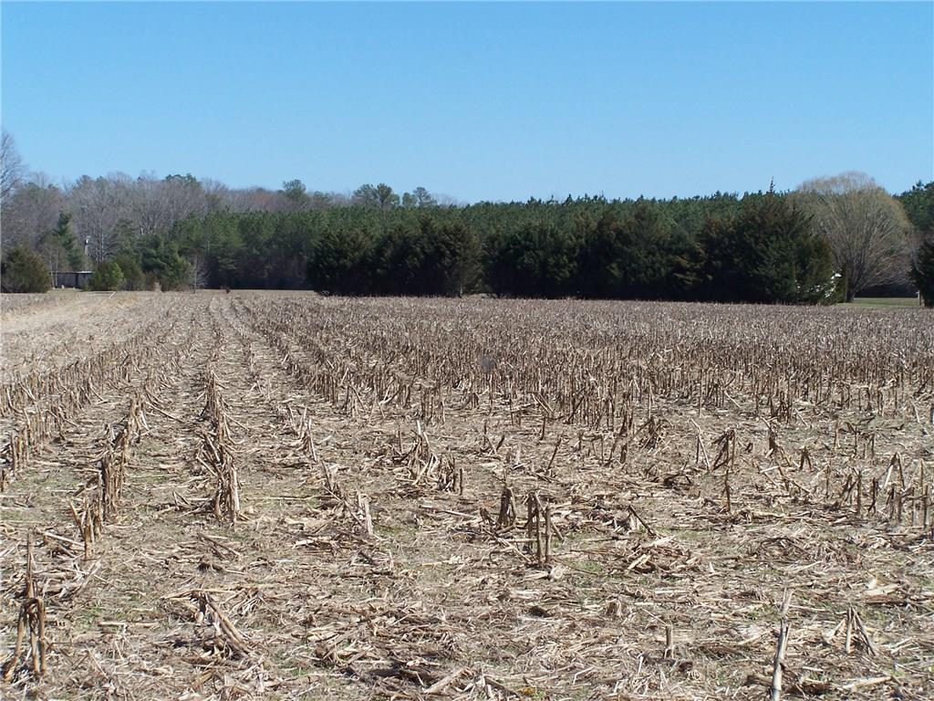 Lot R Waldwick Way - Photo 1