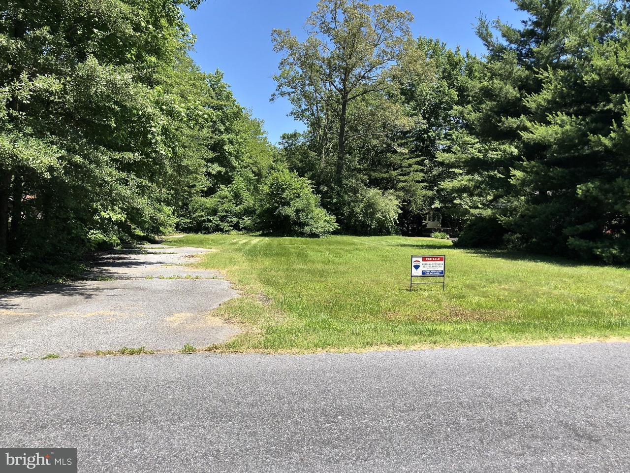27699 Avalon Drive - Photo 1
