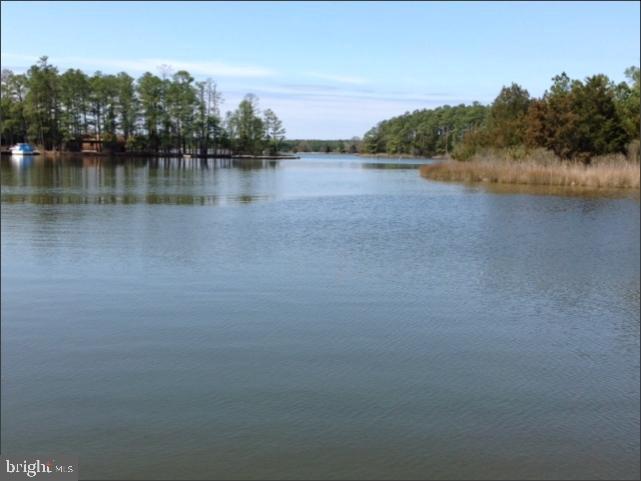 5516 Ross Neck Road - Photo 1