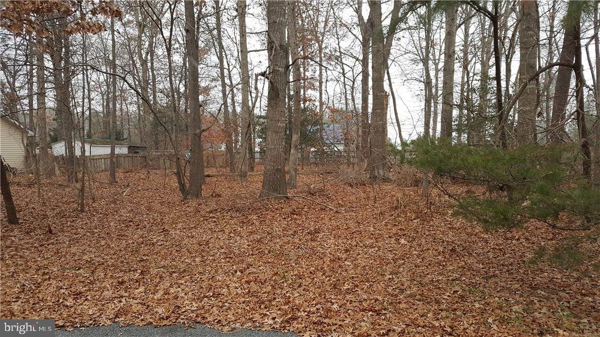 Lot A-7 Fawn Lane - Photo 1