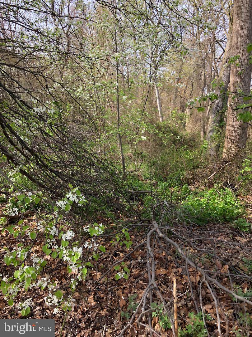 0 Township Line Road - Photo 1