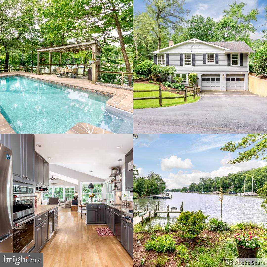 1003 Paca Lane - Photo 1