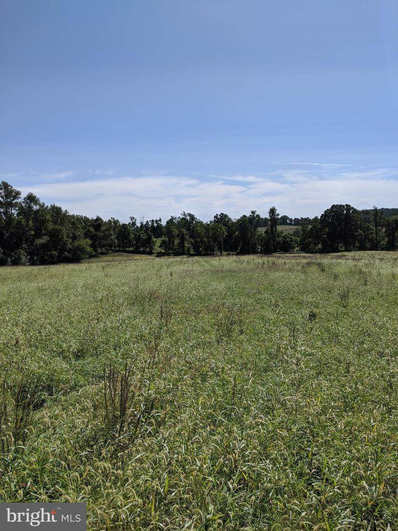 Tangletwig Lane Lot D 5.5 Acres - Photo 1