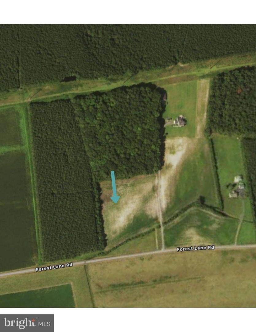 0 Forest Lane - Photo 1