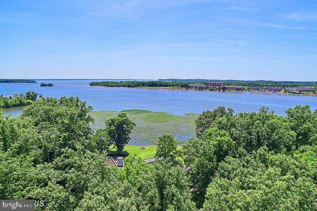 8204 Lazy Point Lane - Photo 1