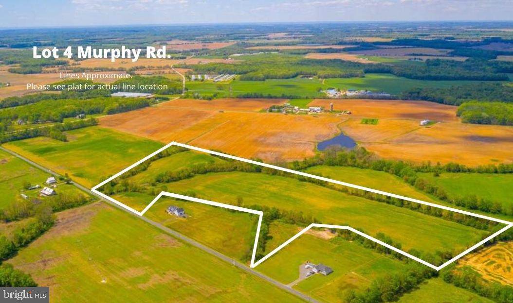 Lot 4 Murphy Road - Photo 1