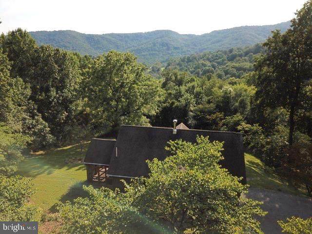 38 Black Bear Trail - Photo 1