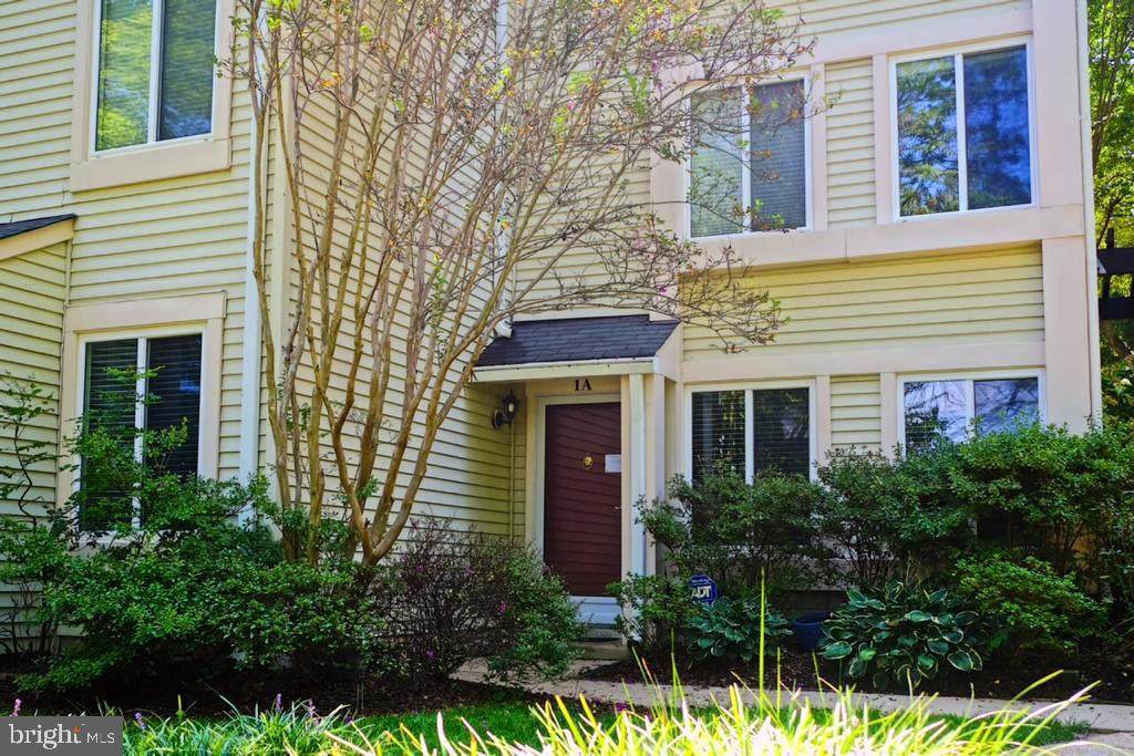 10330 Rein Commons Ct. - Photo 1