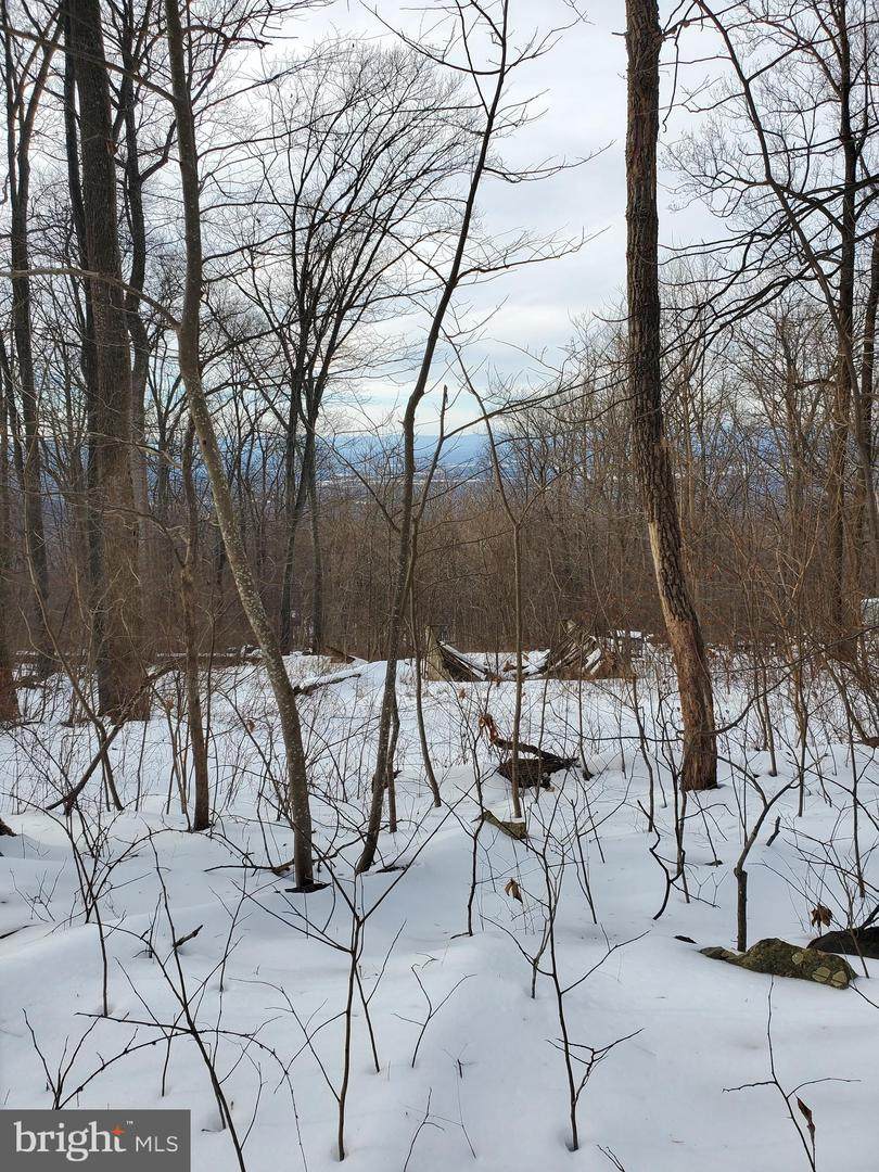 Blue Mtn - Photo 1