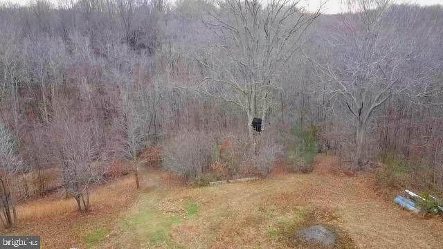 6852 Old Bayside Road - Photo 1
