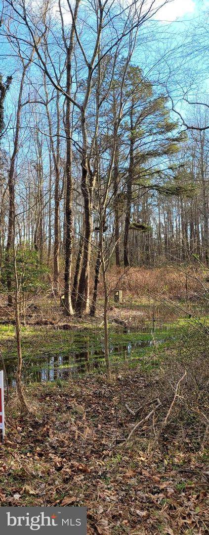 6004 Ticktown Road - Photo 1