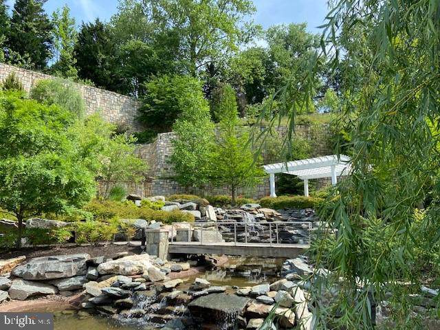 8169 River - Photo 1