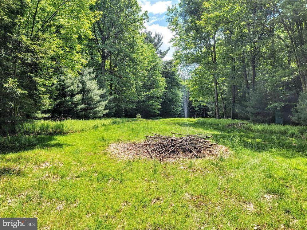 237 Bear Drive - Photo 1