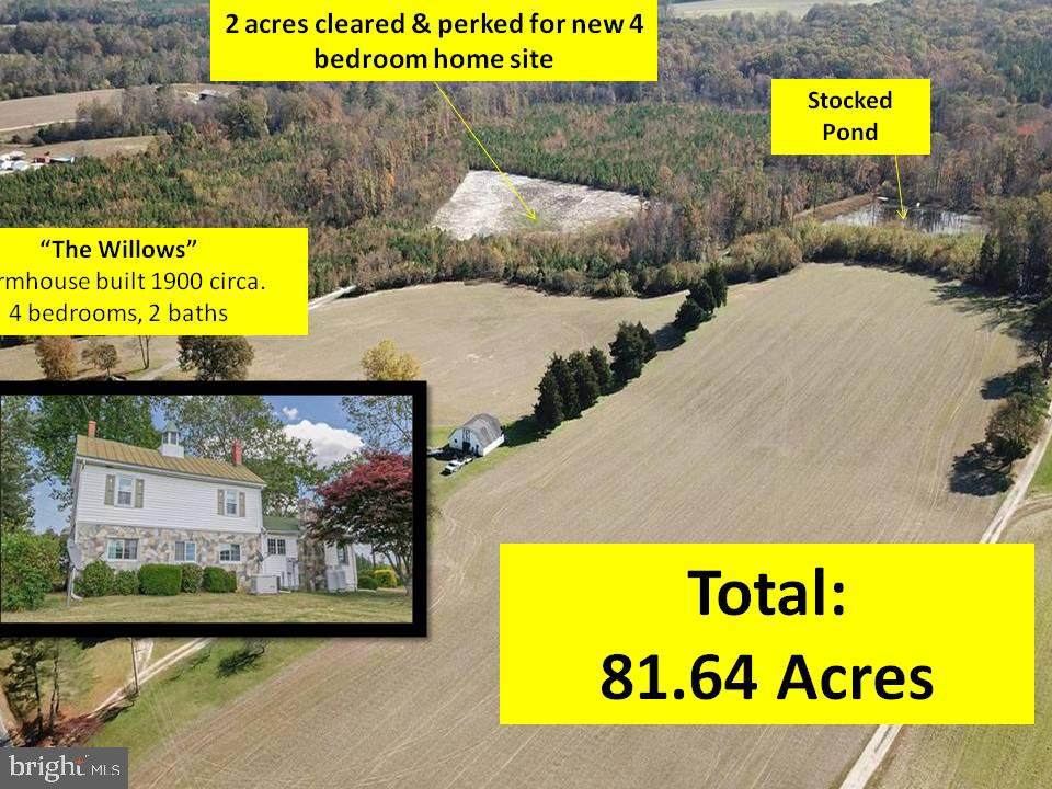31050 Sparta Road - Photo 1