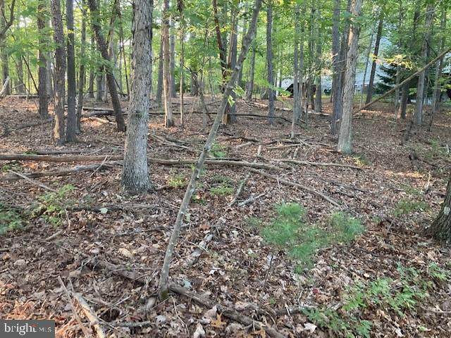 0 Nelson Way - Photo 1