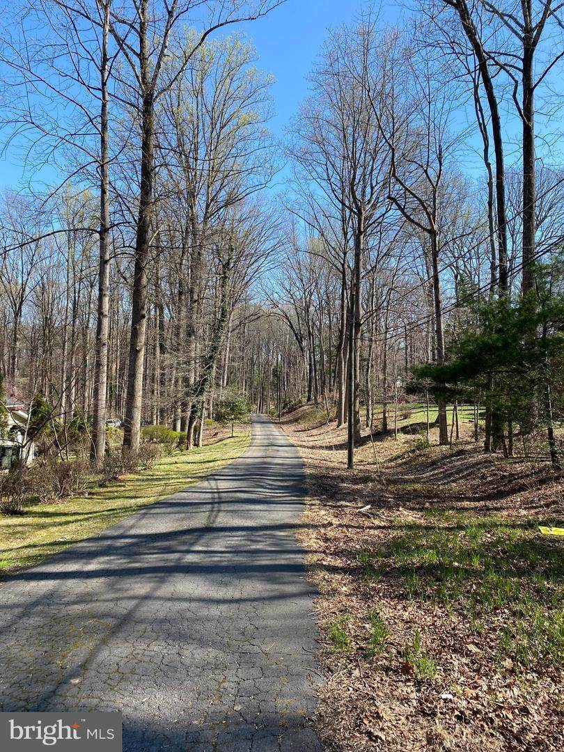 Vale Spring Drive - Photo 1
