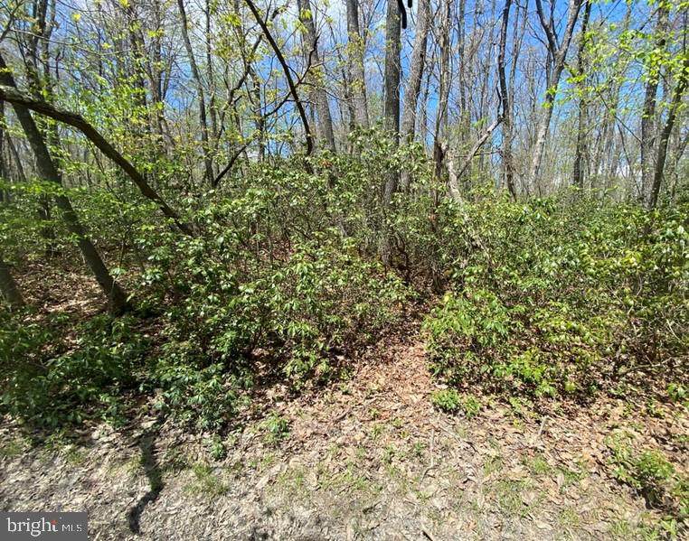 Buck Drive - Photo 1
