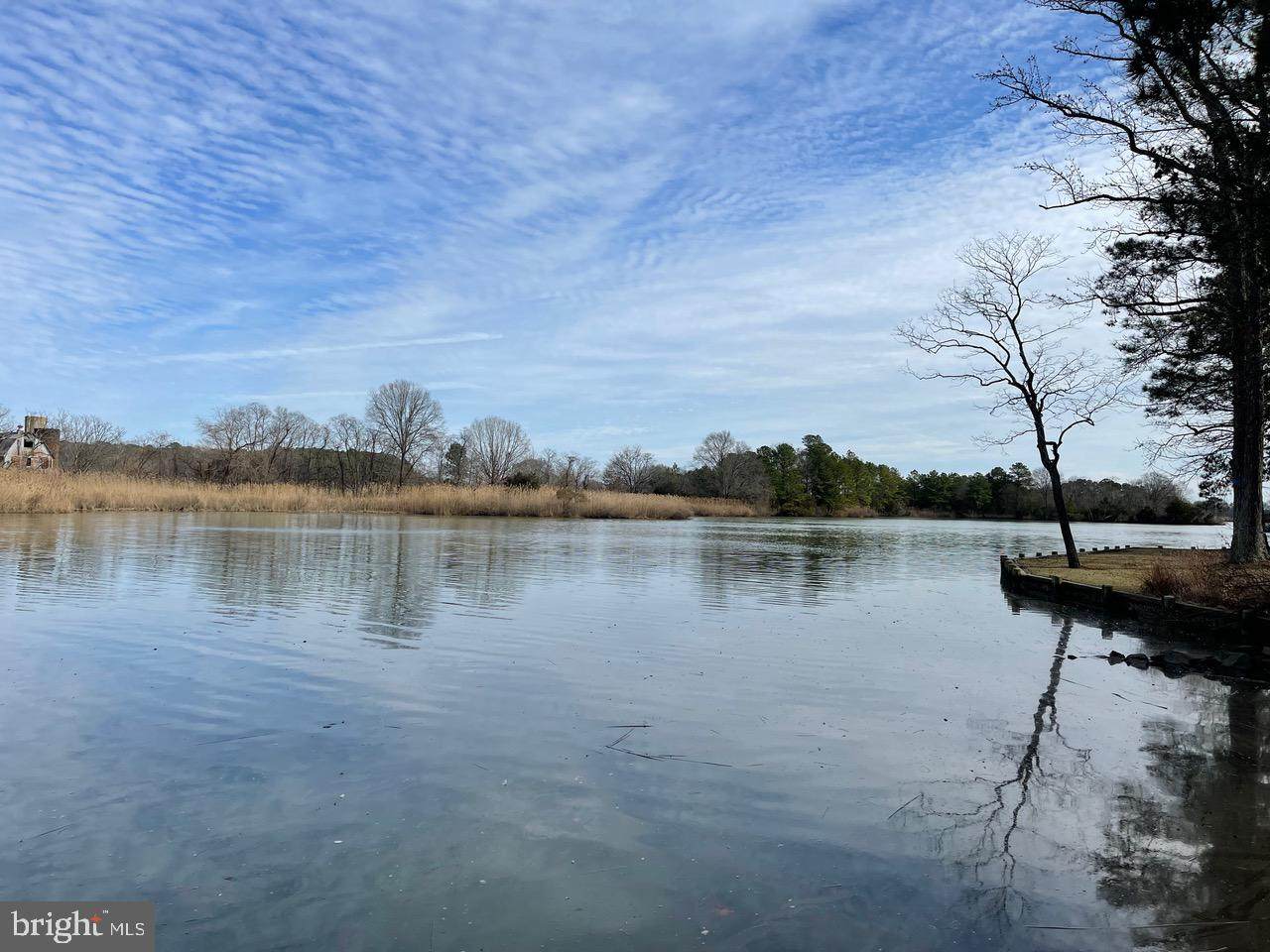 22534 Hidden Acres Lane - Photo 1