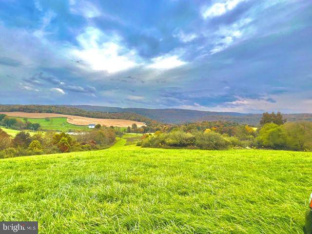 Dixon Road (16+ Acres) - Photo 1