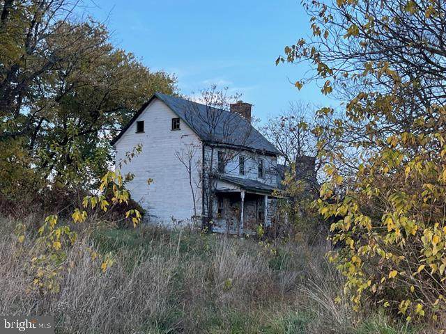 247 National Fruit Road - Photo 1