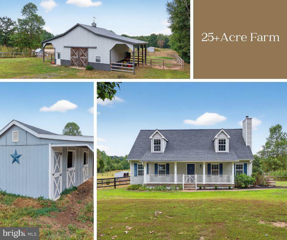 7841 Panier Road - Photo 1