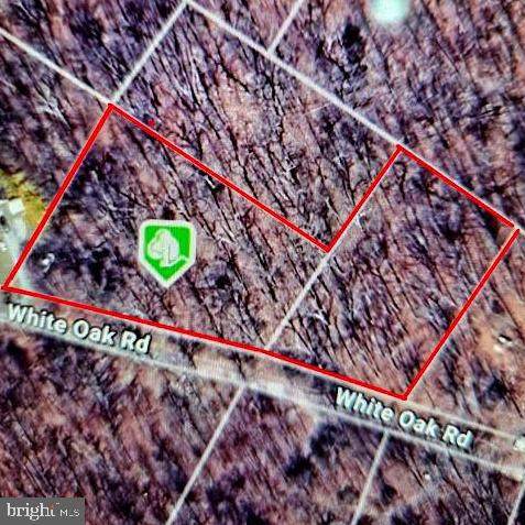 0 White Oak Rd - Photo 1