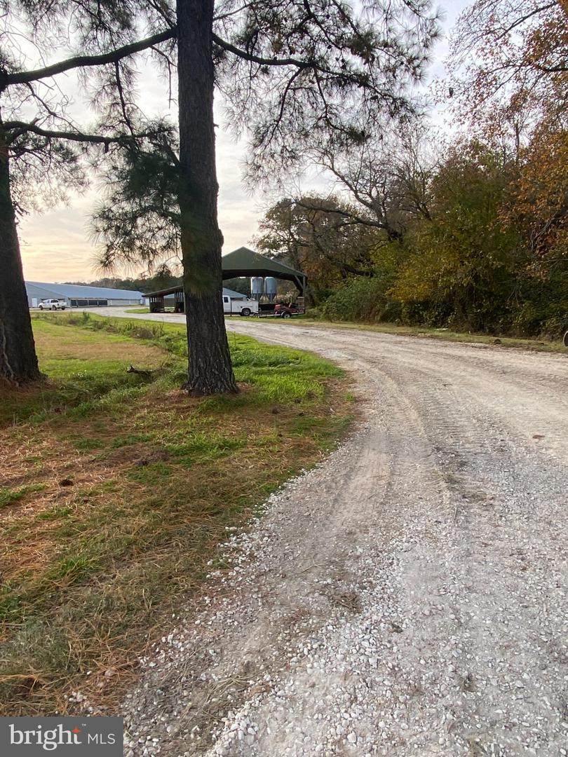 27160 Cash Corner - Photo 1