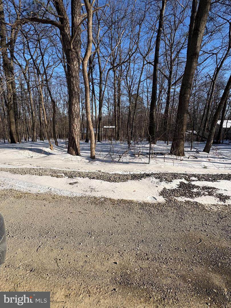 Lot 18 Pheasant Drive - Photo 1