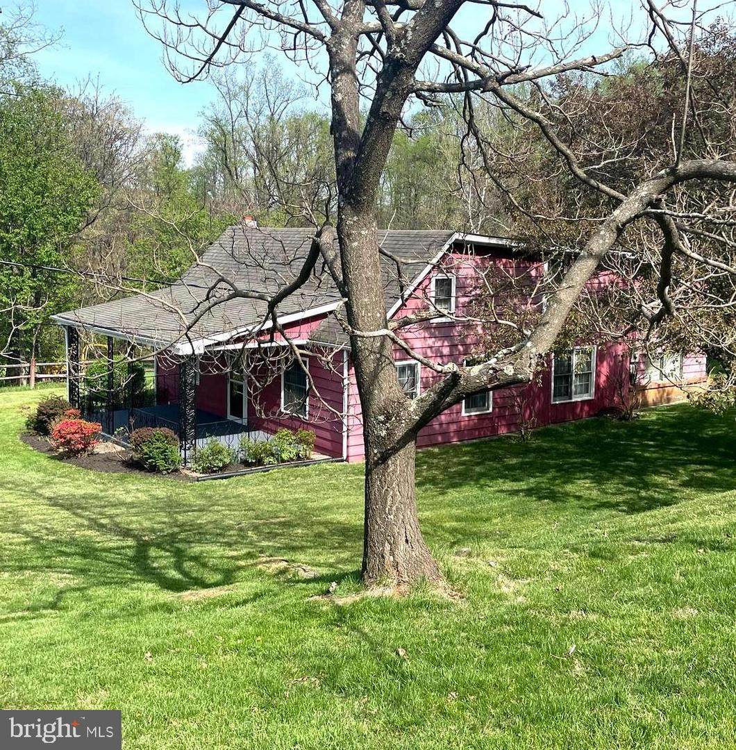 115 Chester Gap Road - Photo 1