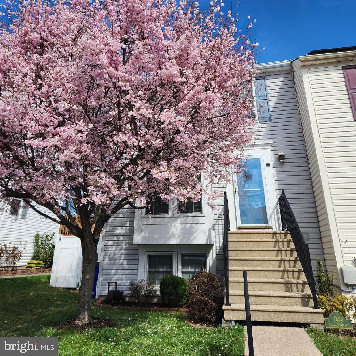 7856 Marioak Drive - Photo 1