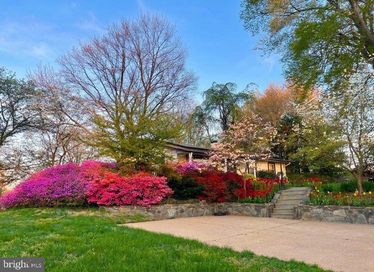 4951 Roslyn Road - Photo 1