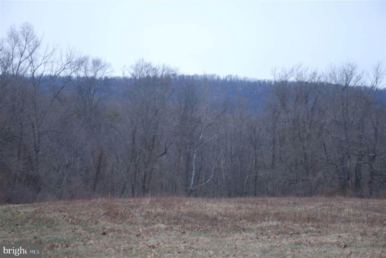 Lot 12 Airyview Road - Photo 1