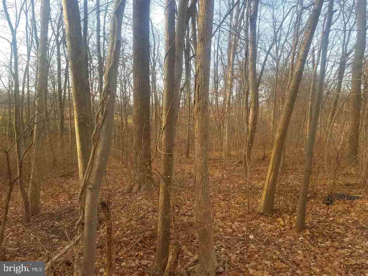 Lot #4 Parkway East - Photo 1