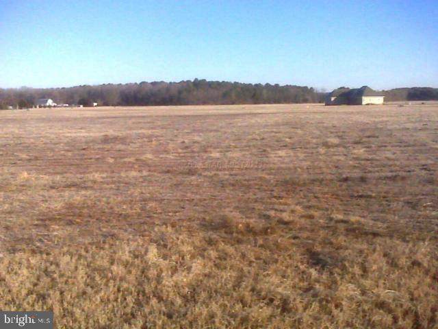 Lot 2 Crooked Oak Lane - Photo 1