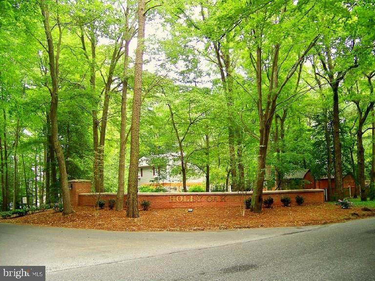 Lot 25 & 26 Holly Oak Lane - Photo 1