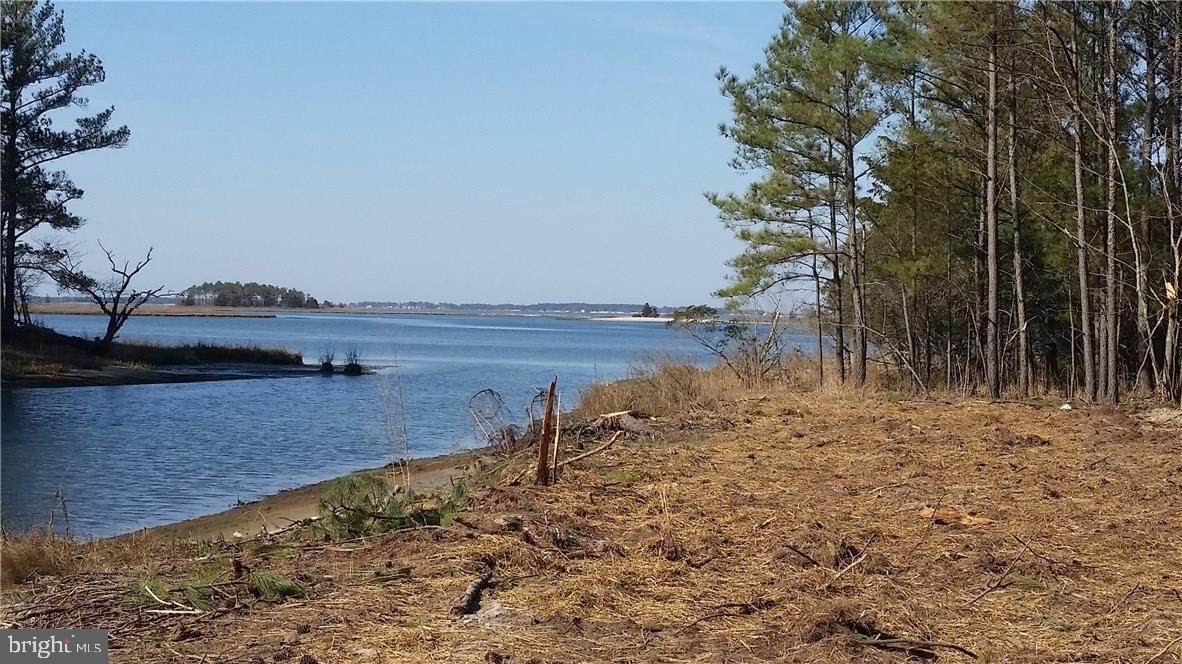 37519 Seaside Drive - Photo 1