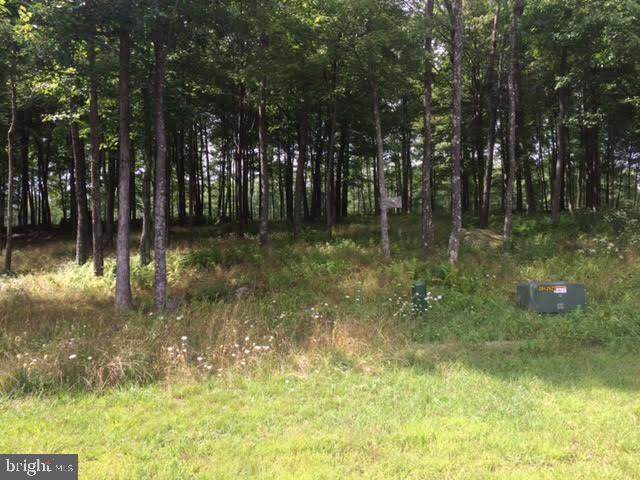 Lot 42 Sandstone Circle - Photo 1