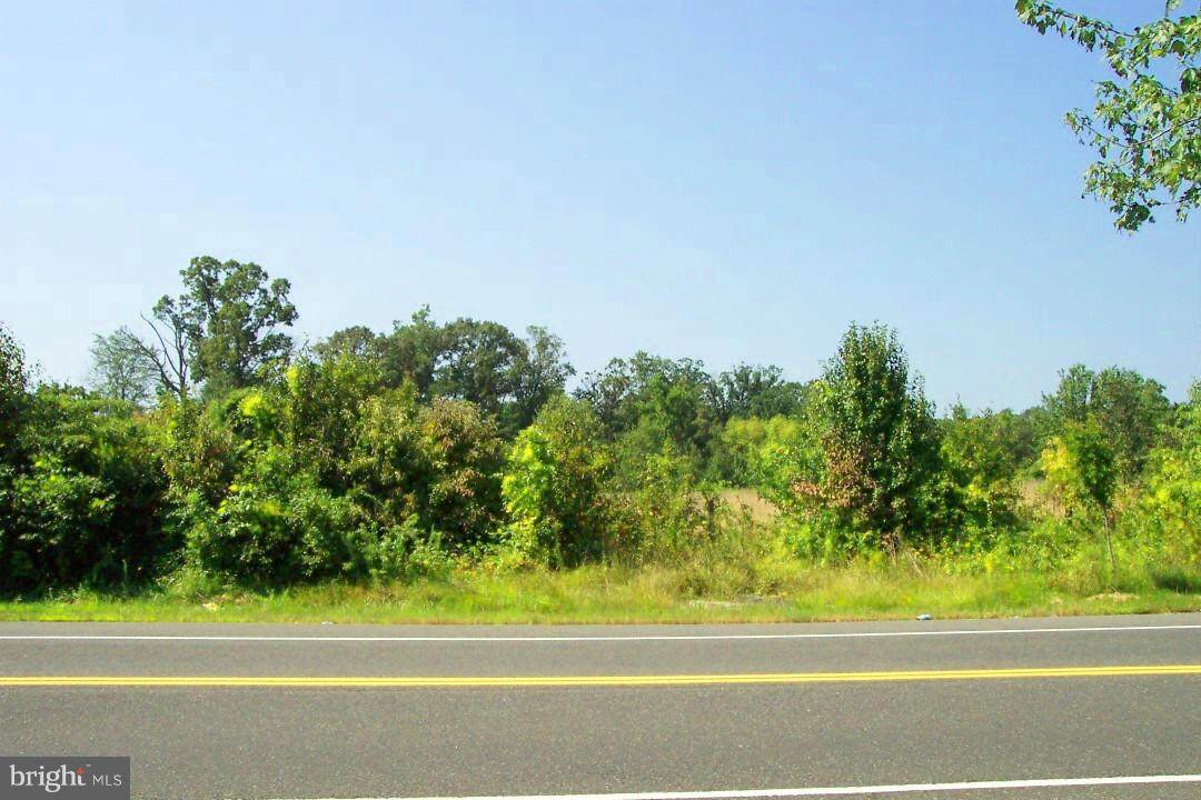 Windbrook Drive - Photo 1