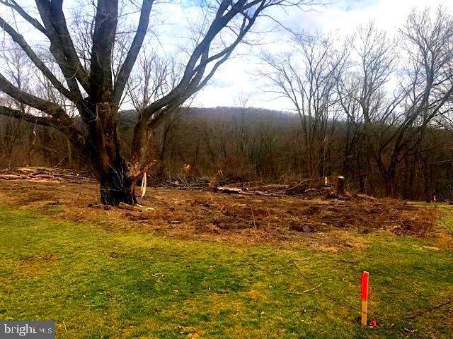 LOT 20 Stephen St. - Photo 1