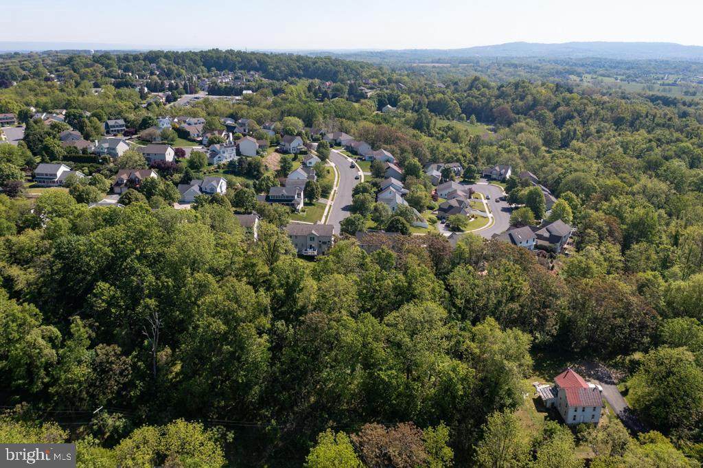 Bumble Bee Hollow Road - Photo 1