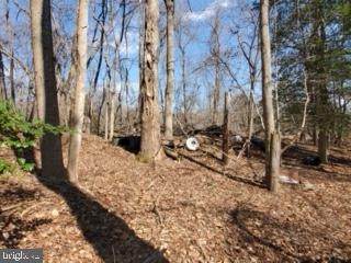 Van Brady Road - Photo 1